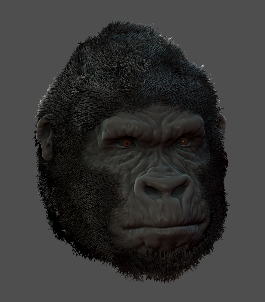 Gorilla%20Render.jpg